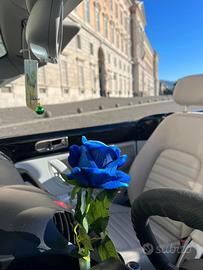 New beetle 1600 benzina