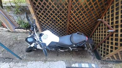 ktm duke 125