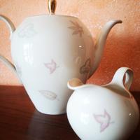 set teiera e lattiera Seltmann Weiden