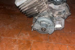 Motore malaguti grizzly