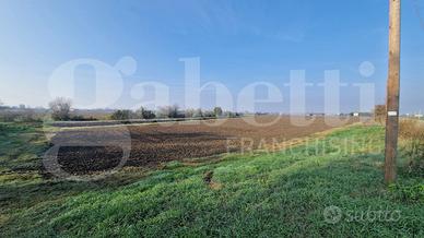 Terreno Agricolo Malalbergo [Cod. rif 3274228VCG]