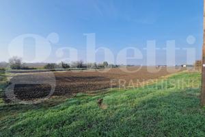 Terreno Agricolo Malalbergo [Cod. rif 3274228VCG]