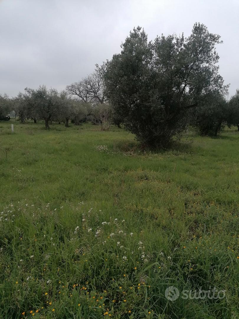 InsVendo 840 metri quadrati di terreno edificabile - Vista 5