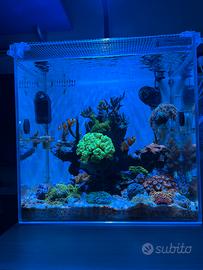 Acquario aqupet prevendita