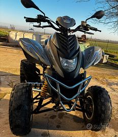 Quad Dinli DL801 350