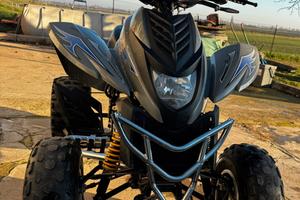 Quad Dinli DL801 350