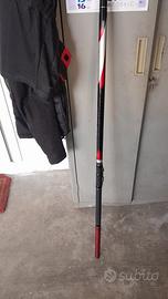 Daiwa amorphos pro power 9 metri