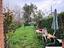 Immagine 12