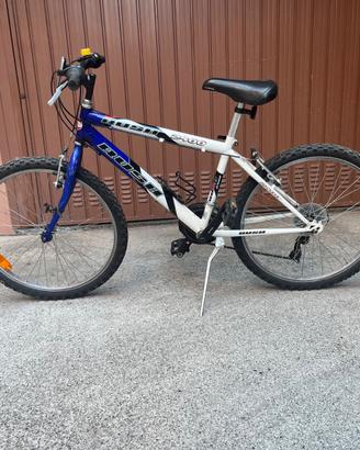 Bicicletta per ragazzi