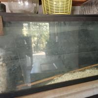 Acquario ( leggi descrizione)