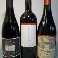 TURRIGA TERRE BRUNE BAROLO BRUNELLO AMARONE +ALTRI