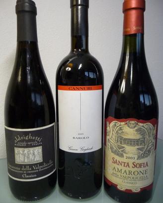 TURRIGA TERRE BRUNE BAROLO BRUNELLO AMARONE +ALTRI