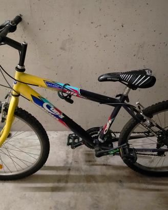 bici bambino ruota 24