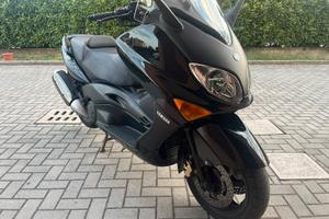 T max 500 Black max