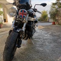 Triumph Speed triple t 509