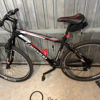 Bici Mountain bike  Torpado 29 con accessori