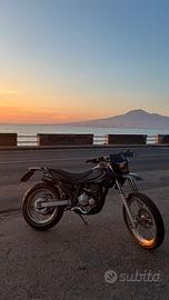 2006 Beta alp 4.0 dr suzuki 350