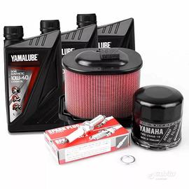 KIT TAGLIANDO TENERE 700