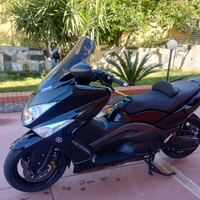 T max anno 2011