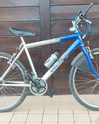 Bici mountain bike