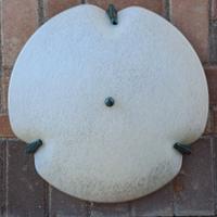 plafoniera da soffitto