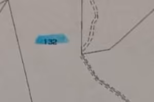 Terreno 12.000mt boschivo