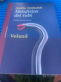 Metafisica dei tubi