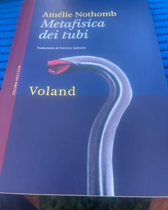 Metafisica dei tubi