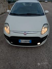 Punto evo