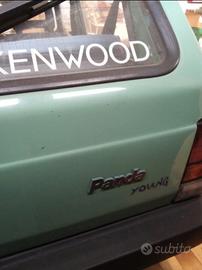 panda young 900 anno 2000