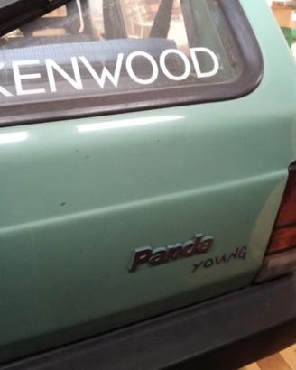 panda young 900 anno 2000