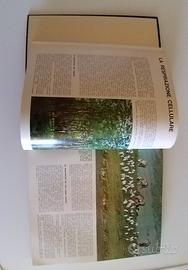  ENCICLOPEDIA  ITALIANA DELLE SCIENZE 