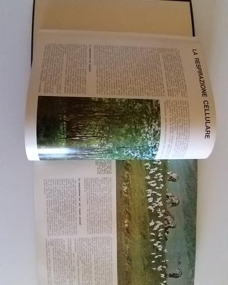 ENCICLOPEDIA  ITALIANA DELLE SCIENZE 