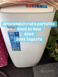 aria condizionata portatile