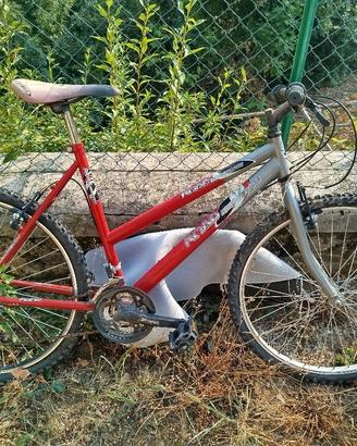 bicicletta Road bike