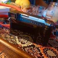 Panasonic Lumix GX 80