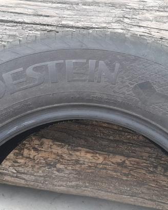 Gomma Vredesten M+S 4 stagioni 215/65/R16