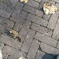 Addetto alle pulizie / Lavapiatti