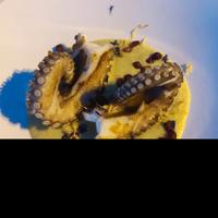 Chef cusinier disponibile esperienze dimostrabili