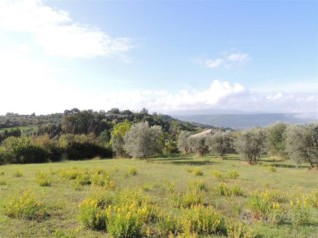 Rustico / Casale di 350 m² con 1 locale a Penna in - Vista 2