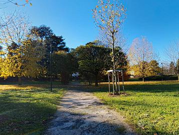 Dalmine - stanza singola