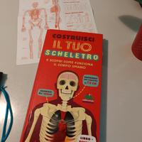 libro costruisci il tuo scheletro corpo umano