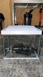 acquario 10/12 litri