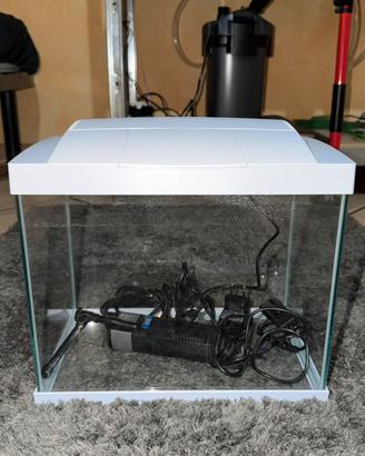 acquario 10/12 litri