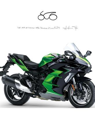 KAWASAKI Ninjia H2 SX SE