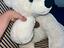 Immagine 4