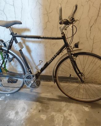 Bici Uomo 28" Silver Star