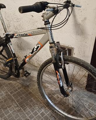 bicicletta