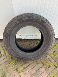 Gomme estive