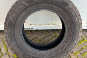 Gomme estive